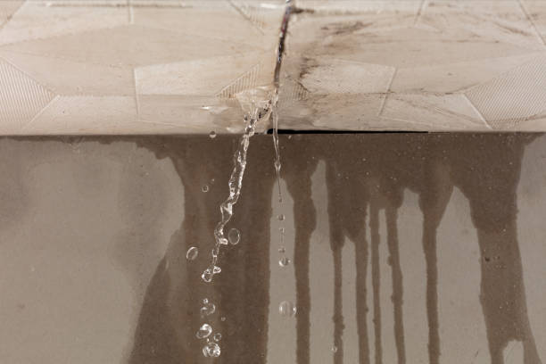 Professional Sewage Cleanup technician working in Risingsun, OH